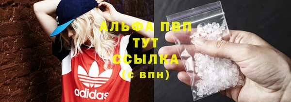 PSILOCYBIN Богданович