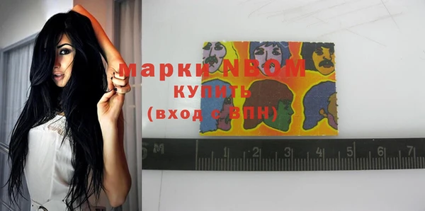 молекула духа Богородск