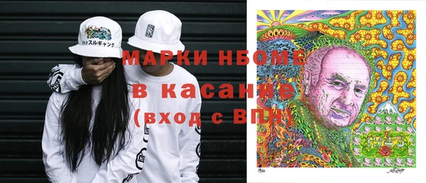 молекула духа Богородск