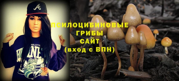 PSILOCYBIN Богданович