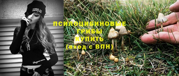 молекула духа Богородск